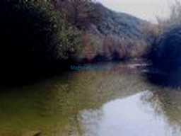 Fotos Noticias 2010