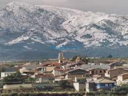 Fotos Noticias 2010