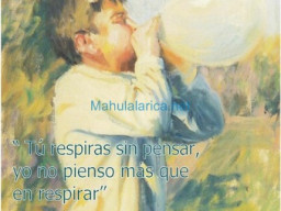 Fotos Noticias 2010