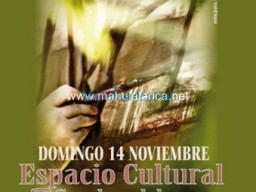 Fotos Noticias 2010