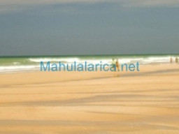 Fotos Noticias 2010