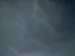 Fotos Noticias 2010