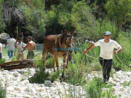 Fotos Noticias 2010
