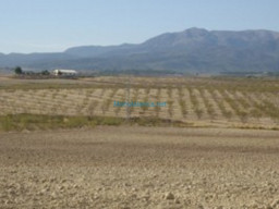Fotos Noticias 2010