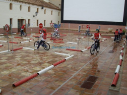 Fotos Noticias 2010