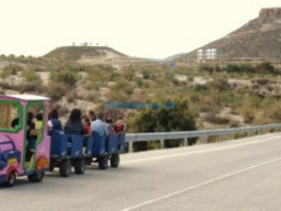 Fotos Noticias 2010