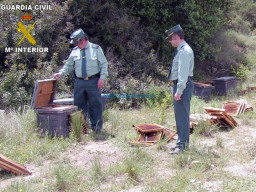 Fotos Noticias 2010