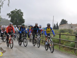 Fotos Noticias 2010