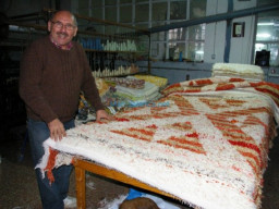 Fotos Noticias 2010