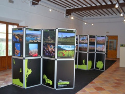 Fotos Noticias 2010