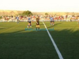 Fotos Noticias 2010