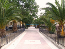 Fotos Noticias 2010