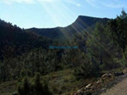 Fotos Noticias 2010