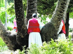 Fotos Noticias 2010