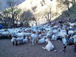 Fotos Noticias 2010