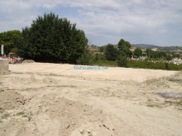 Fotos Noticias 2010