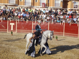 Fotos Noticias 2010