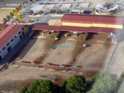 Fotos Noticias 2010