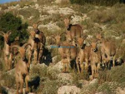 Fotos Noticias 2011