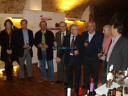 Fotos Noticias 2011