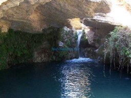 Fotos Noticias 2011