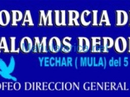 Fotos Noticias 2011