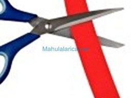 Fotos Noticias 2011