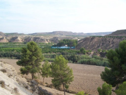 Fotos Noticias 2011