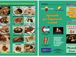 Fotos Noticias 2011