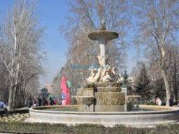 Fotos Noticias 2011