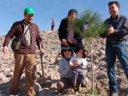 Fotos Noticias 2011