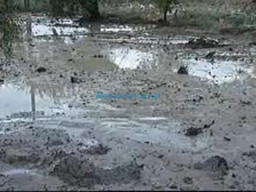 Fotos Noticias 2011