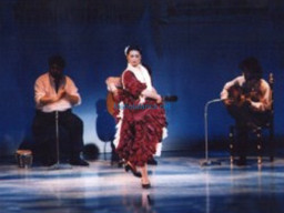 Fotos Noticias 2011