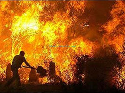 Fotos Noticias 2011