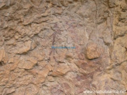 Fotos Noticias 2011