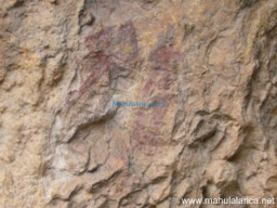 Fotos Noticias 2011
