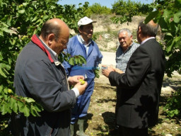 Fotos Noticias 2011