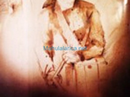 Fotos Noticias 2011