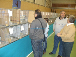 Fotos Noticias 2011