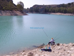 Fotos Noticias 2011