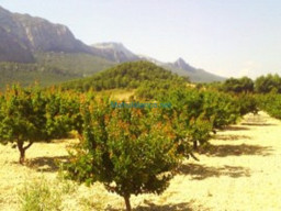 Fotos Noticias 2011
