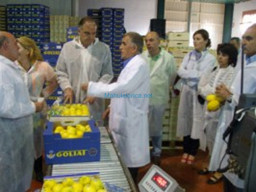 Fotos Noticias 2011