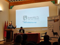 Fotos Noticias 2011