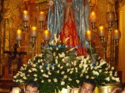 Fotos Noticias 2011