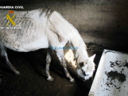Fotos Noticias 2011