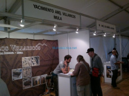 Fotos Noticias 2011