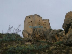 Fotos Noticias 2011