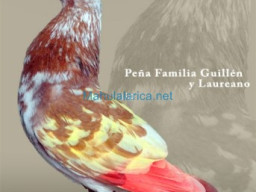 Fotos Noticias 2011