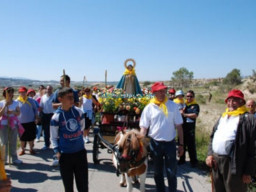 Fotos Noticias 2011