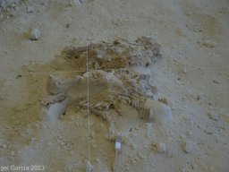 Ciudad de Orce 2023